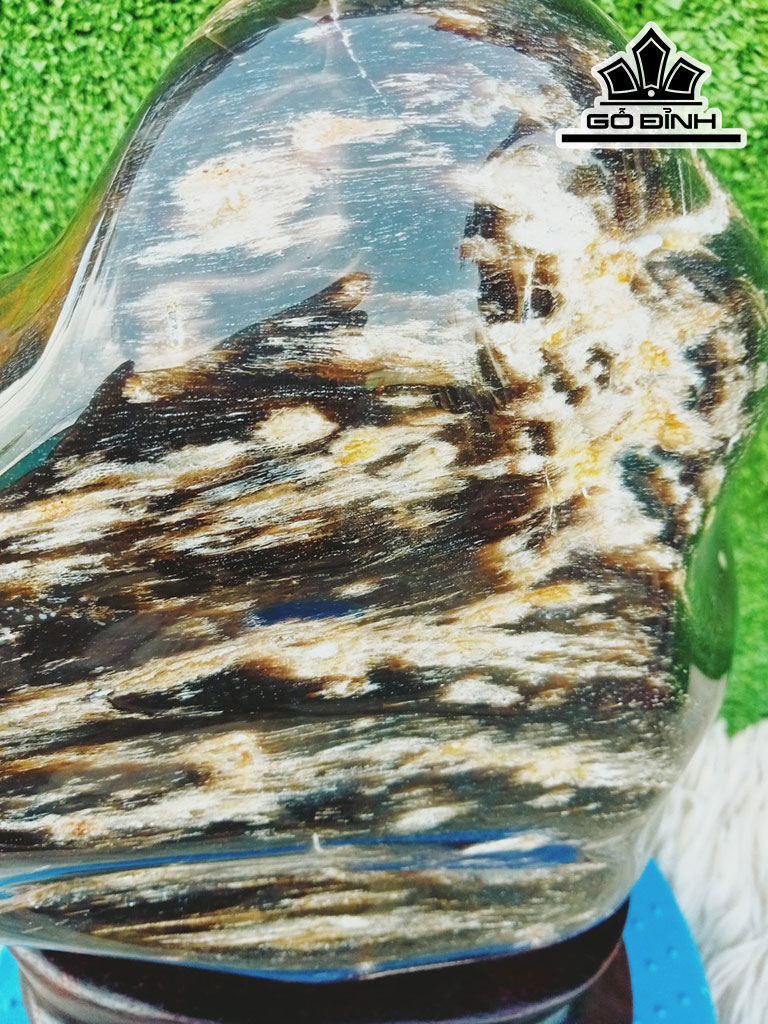 Tác Phẩm Gỗ Hóa Thạch Cao 29 Ngang 18 (cm) 5,8kg