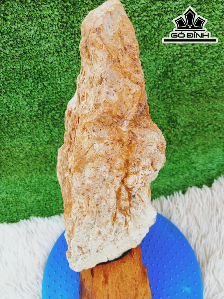 Tác Phẩm Gỗ Hóa Thạch Cao 36 Ngang 10 (cm) 3,8kg