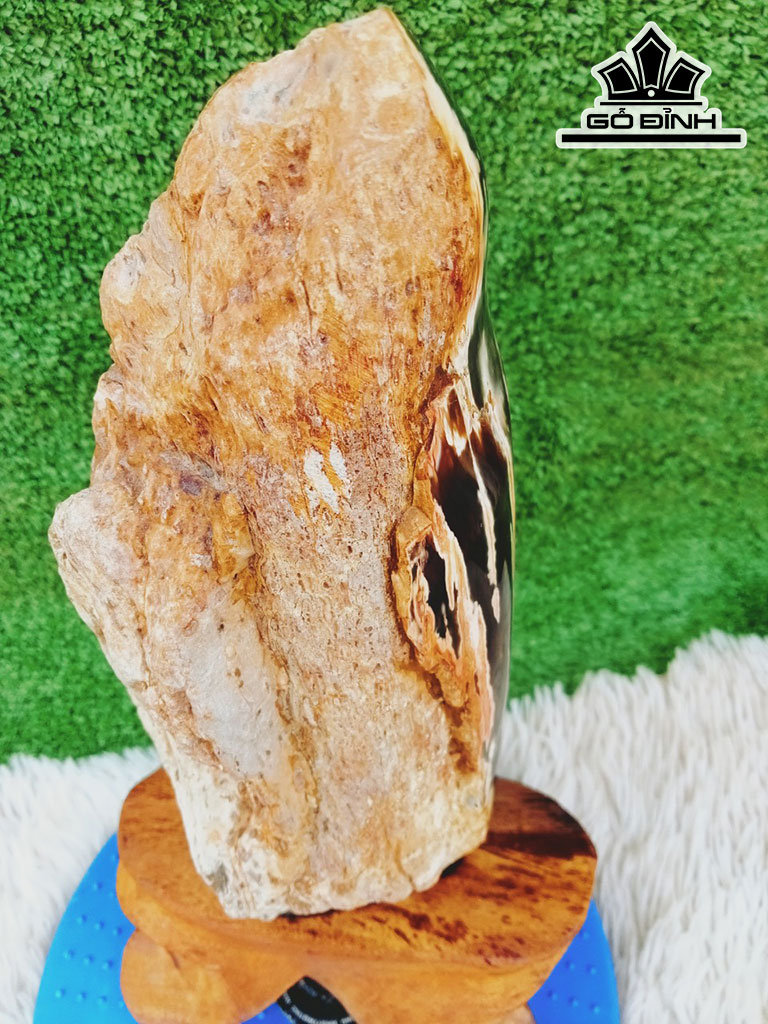 Tác Phẩm Gỗ Hóa Thạch Cao 36 Ngang 10 (cm) 3,8kg