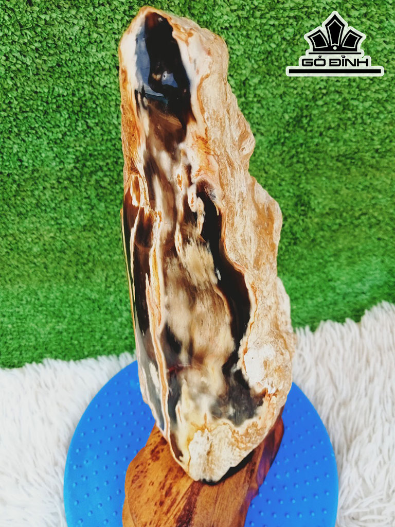 Tác Phẩm Gỗ Hóa Thạch Cao 36 Ngang 10 (cm) 3,8kg