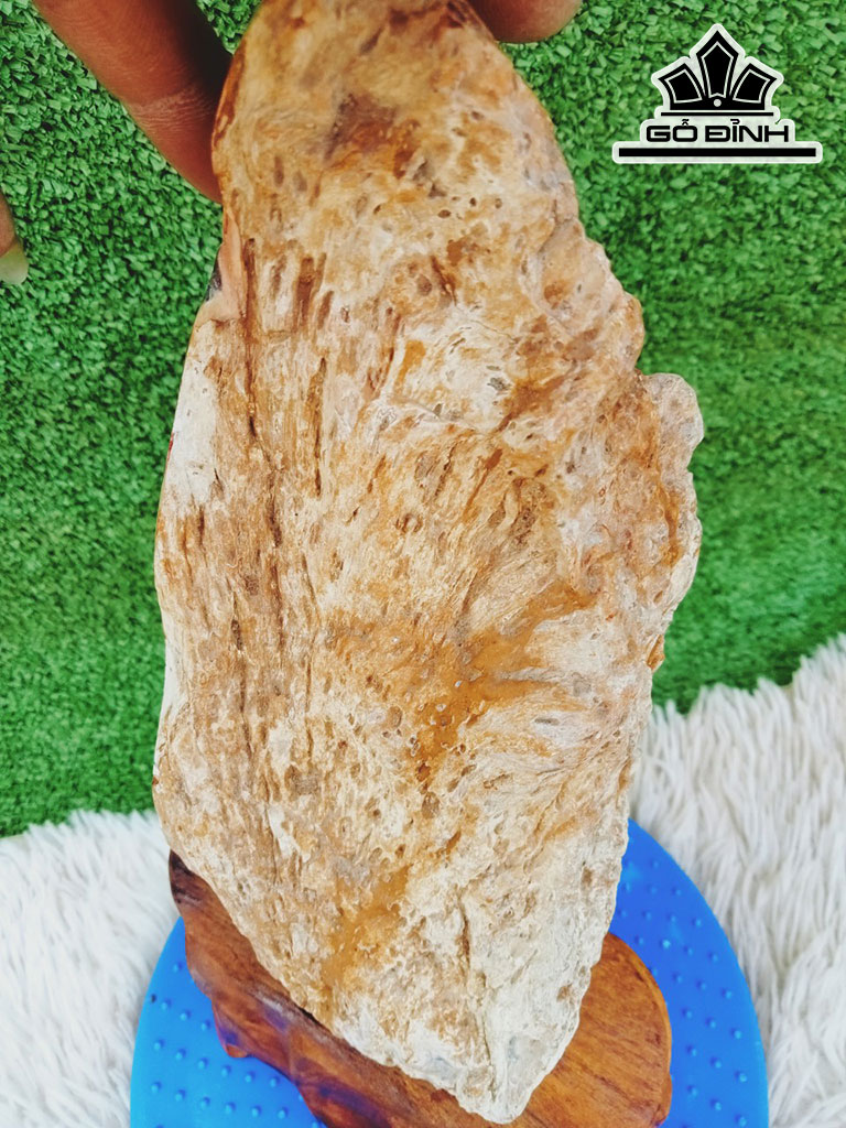Tác Phẩm Gỗ Hóa Thạch Cao 36 Ngang 10 (cm) 3,8kg