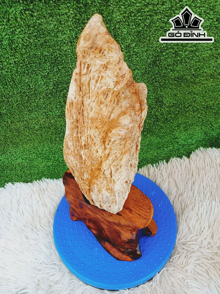 Tác Phẩm Gỗ Hóa Thạch Cao 36 Ngang 10 (cm) 3,8kg