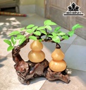 Cây Hồ Lô Đá Ngọc Hoàng Long Cao 32 Ngang 32 (cm) 5kg