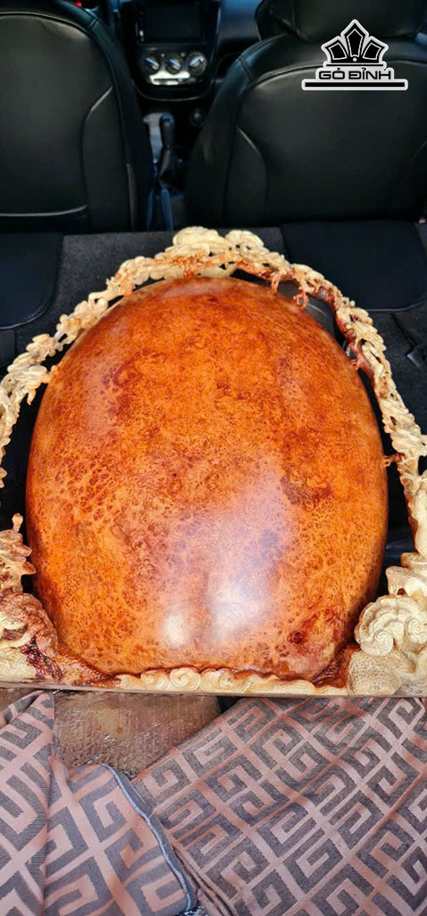 Bình Gỗ Nu Hương Cao 81 Ngang 67 Sâu 31 (cm)