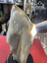 Tác Phẩm Gỗ Hóa Thạch Cao 20 (cm) 0,92kg