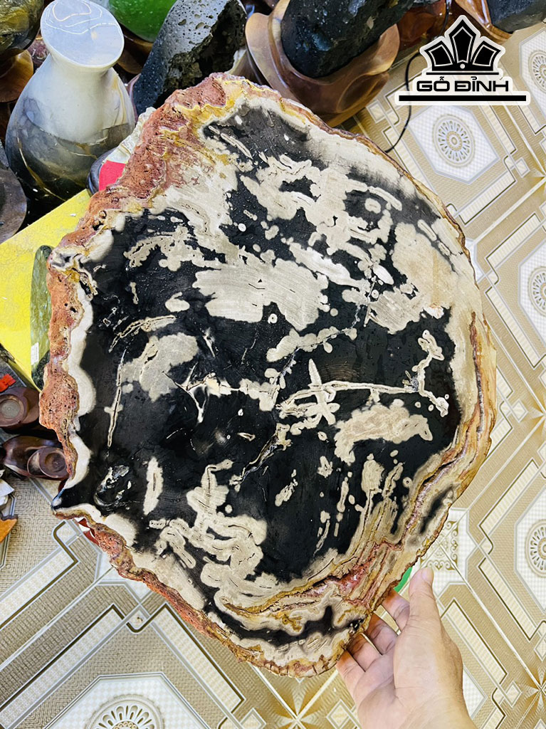 Tác Phẩm Gỗ Hóa Thạch Cao 52 Ngang 45 (cm) 15,5kg