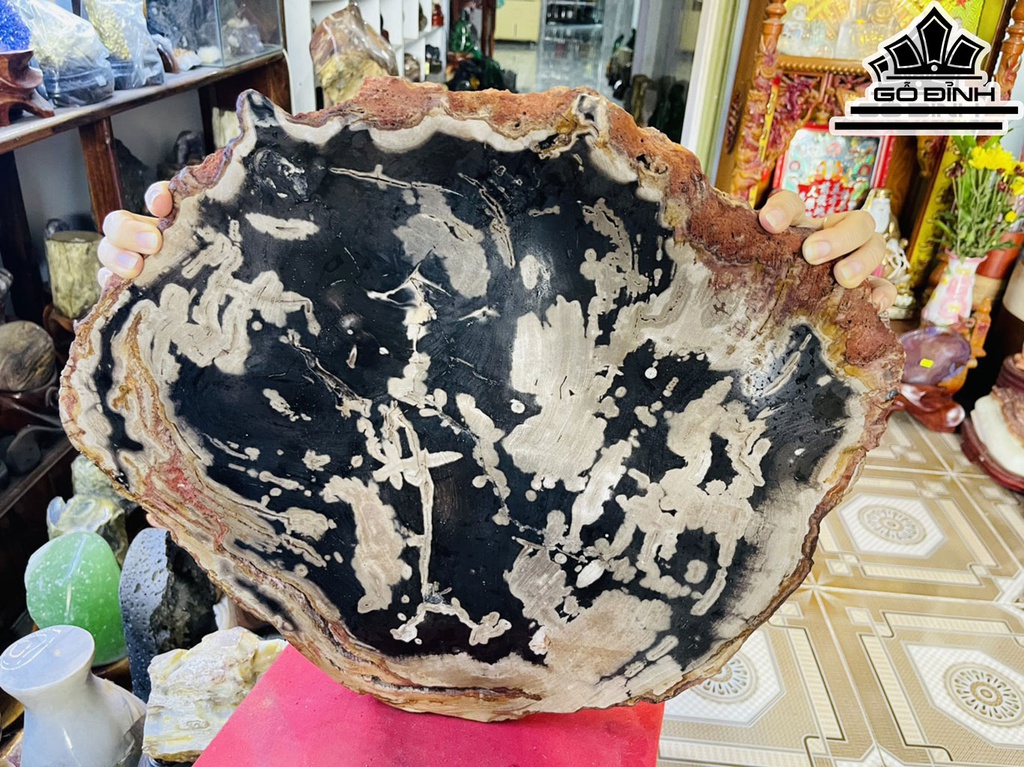 Tác Phẩm Gỗ Hóa Thạch Cao 52 Ngang 45 (cm) 15,5kg