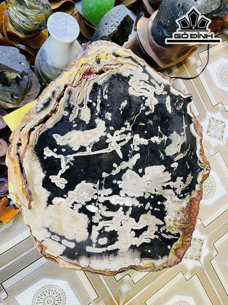 Tác Phẩm Gỗ Hóa Thạch Cao 52 Ngang 45 (cm) 15,5kg