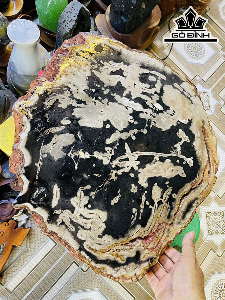 Tác Phẩm Gỗ Hóa Thạch Cao 52 Ngang 45 (cm) 15,5kg