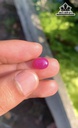 Viên Đá Ruby  4cts