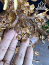 Bình Mai Phú Quý Gỗ Nu Hương Cao 96 Ngang 54 Sâu 50 (cm)