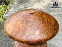 Bình Phú Quý Gỗ Nu Xá Xị Cao 28 Đường Kính 62 (cm)