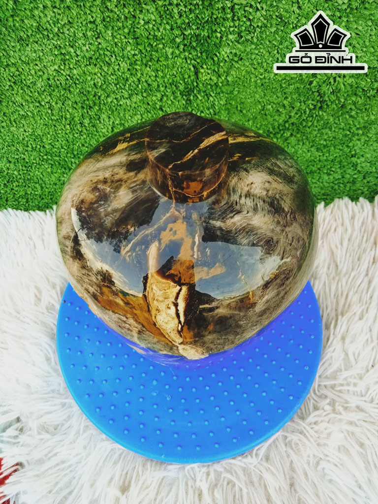 Tác Phẩm Chum Gỗ Hóa Thạch Cao 23 Đường Kính 15 (cm) 7kg