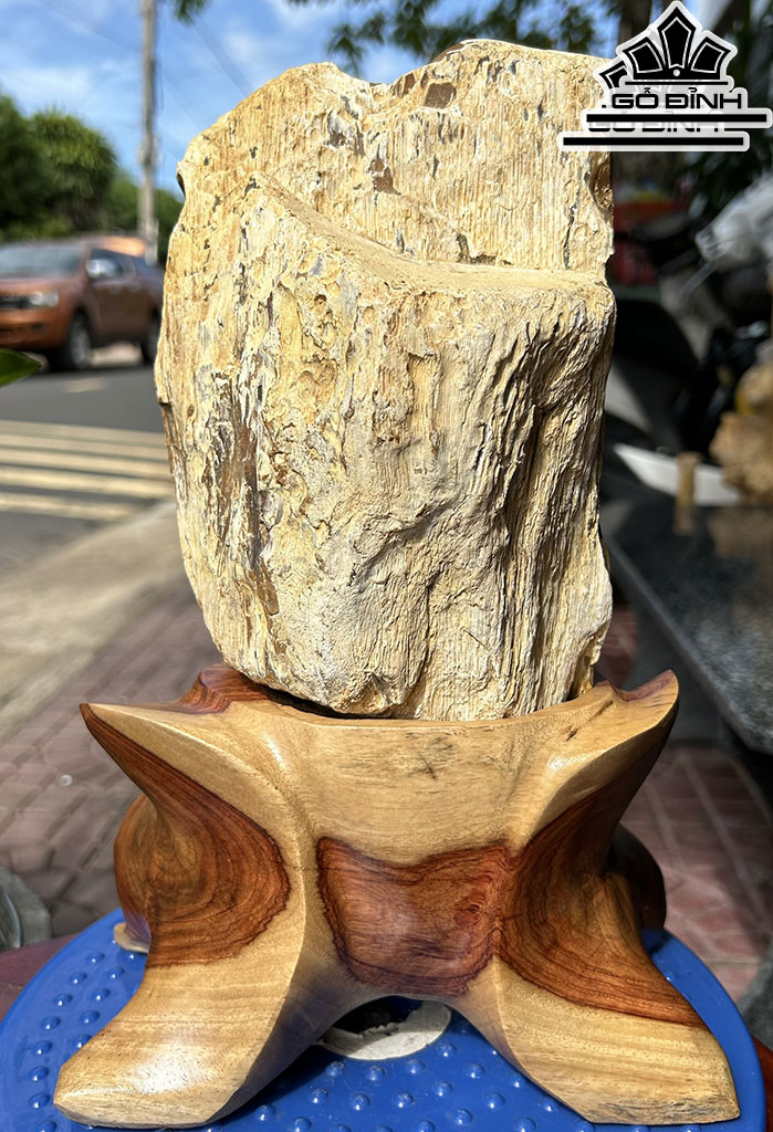 Tác Phẩm Gỗ Hóa Thạch Cao 30 (cm) 3,7kg