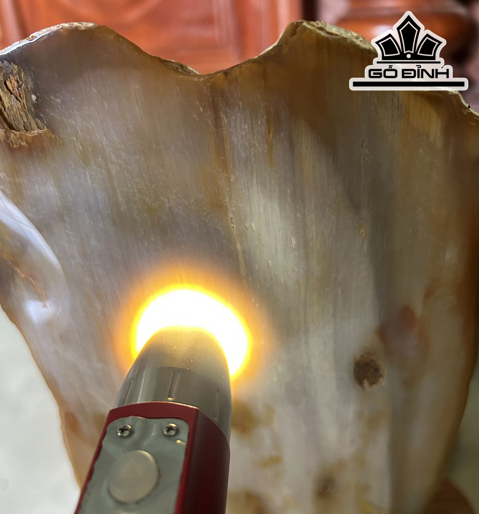 Tác Phẩm Gỗ Hóa Thạch Cao 30 (cm) 3,7kg