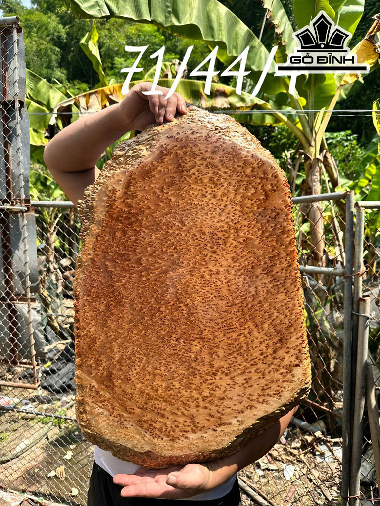 Mặt Bàn Gỗ Nu Ngọc Am Cao 71 Ngang 44 Sâu 4 (cm)