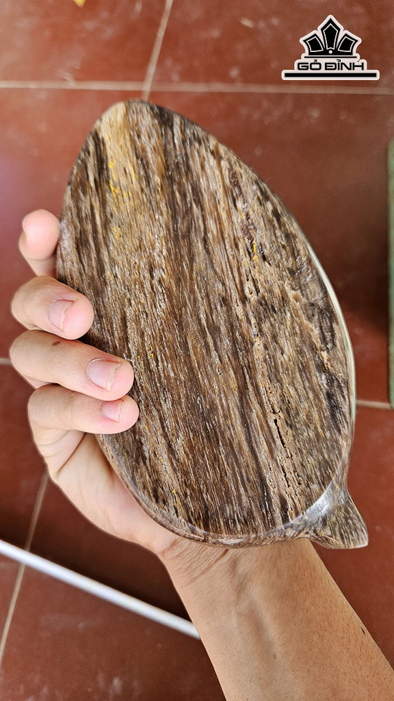 Cặp Đĩa Gỗ Hóa Thạch Cao 10 Ngang 22 (cm) 1kg