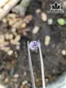 Viên Đá Spinel Cao 6,8 Ngang 6 Sâu 5 (mm) 1,46cts