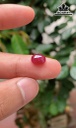 Viên Đá Ruby 3,25 (mm)