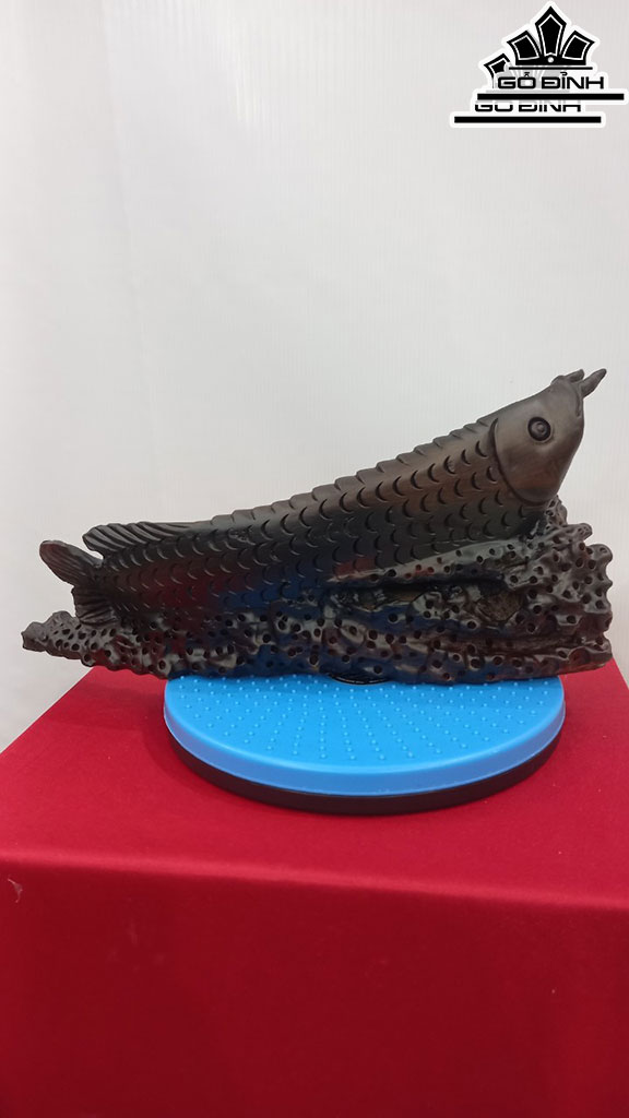 Tượng Cá Kim Long Gỗ Trắc Cao 18 Ngang 38 Sâu 9 (cm)