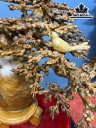 Bình Mai Phú Quý Gỗ Hương Cao 74 Ngang 58 Sâu 48 Đường Kính Bình 23 (cm)