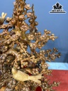 Bình Mai Phú Quý Gỗ Hương Cao 74 Ngang 58 Sâu 48 Đường Kính Bình 23 (cm)