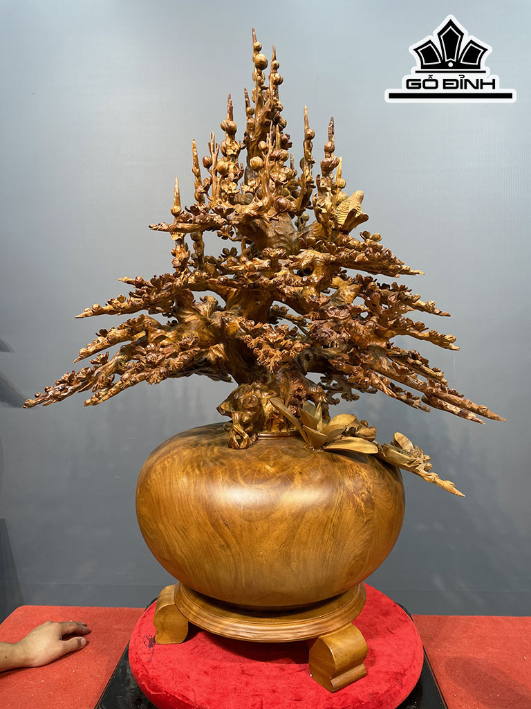 Bình Mai Phú Quý Gỗ Hương Cao 105 Ngang 78 Sâu 64 (cm)