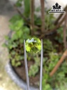 Viên Đá Tourmaline 9,26cts