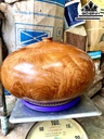 Chum Phú Quý Gỗ Nu Hương Cao 25 Đường Kính 40 (cm)