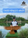 Tượng Đại Bàng Gỗ Hương Cao 52 Ngang 120 Sâu 29 (cm)