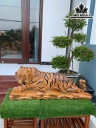 Tượng Hổ Phong Thủy Gỗ Hương Cao 40 Ngang 105 Sâu 24 (cm)