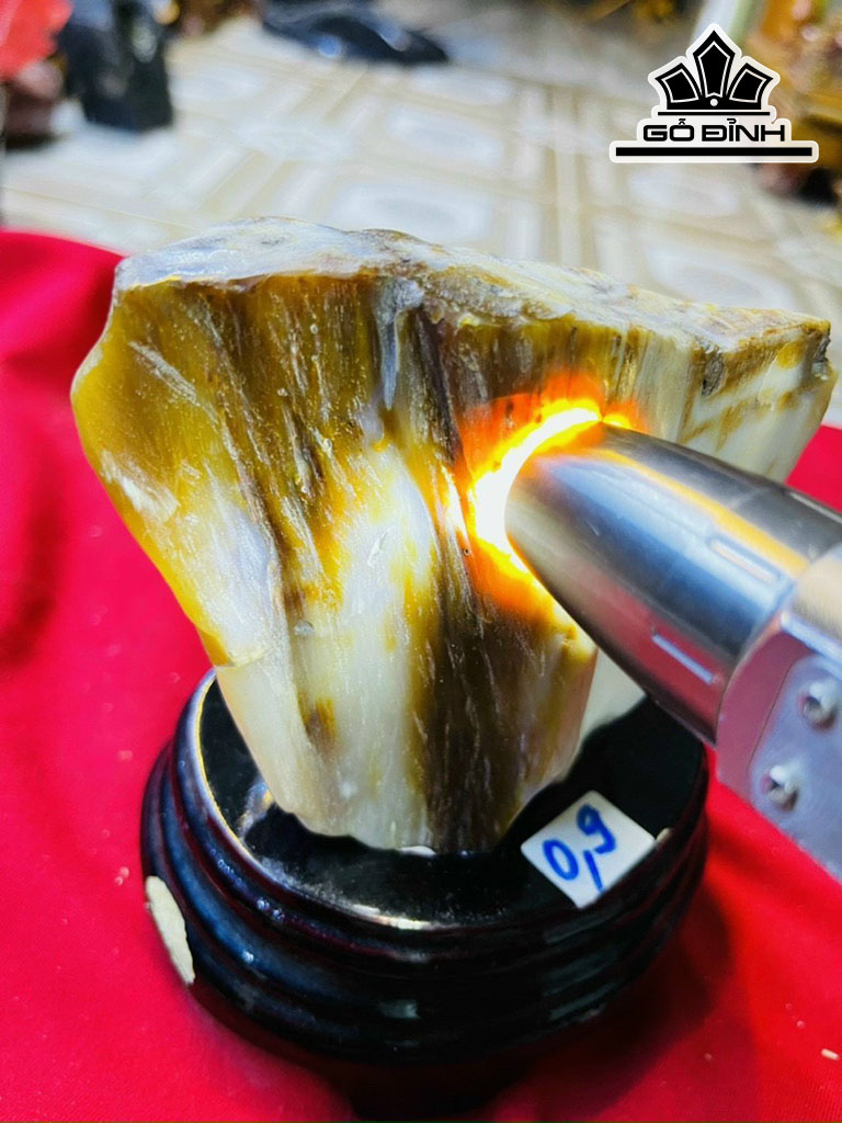 Tác Phẩm Gỗ Hóa Thạch Cao 14 (cm) 0,9kg