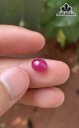 Viên Đá Ruby 2,9cts