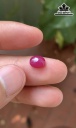 Viên Đá Ruby 2,9cts