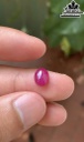 Viên Đá Ruby 2,9cts