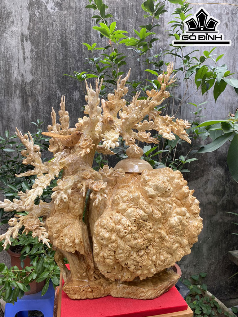 Bình Mai Phú Quý Gỗ Nu Ngọc Nghiến Cao 62 Ngang 55 Sâu 35 (cm)