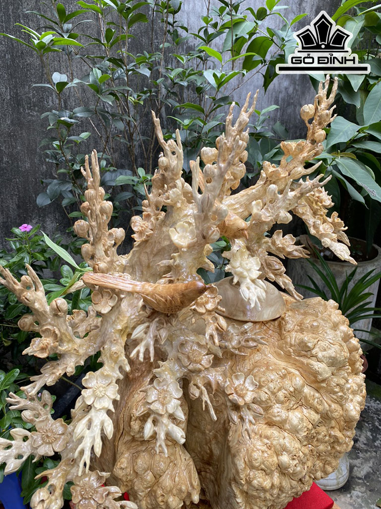 Bình Mai Phú Quý Gỗ Nu Ngọc Nghiến Cao 62 Ngang 55 Sâu 35 (cm)