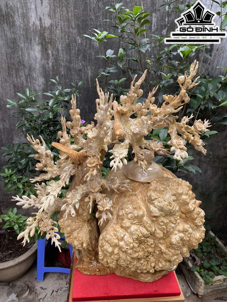 Bình Mai Phú Quý Gỗ Nu Ngọc Nghiến Cao 62 Ngang 55 Sâu 35 (cm)