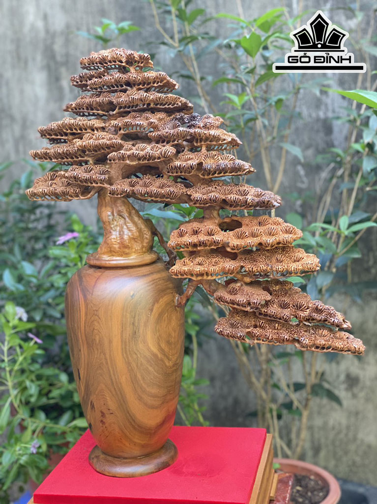 Bình Tùng Gỗ Bách Xanh Cao 62 Ngang 52 Sâu 20 (cm)