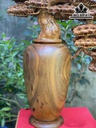 Bình Tùng Gỗ Bách Xanh Cao 62 Ngang 52 Sâu 20 (cm)