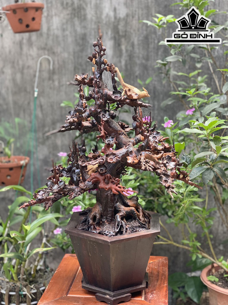 Chậu Hoa Mai Gỗ Trắc Cao 74 Ngang 55 Sâu 45 (cm)