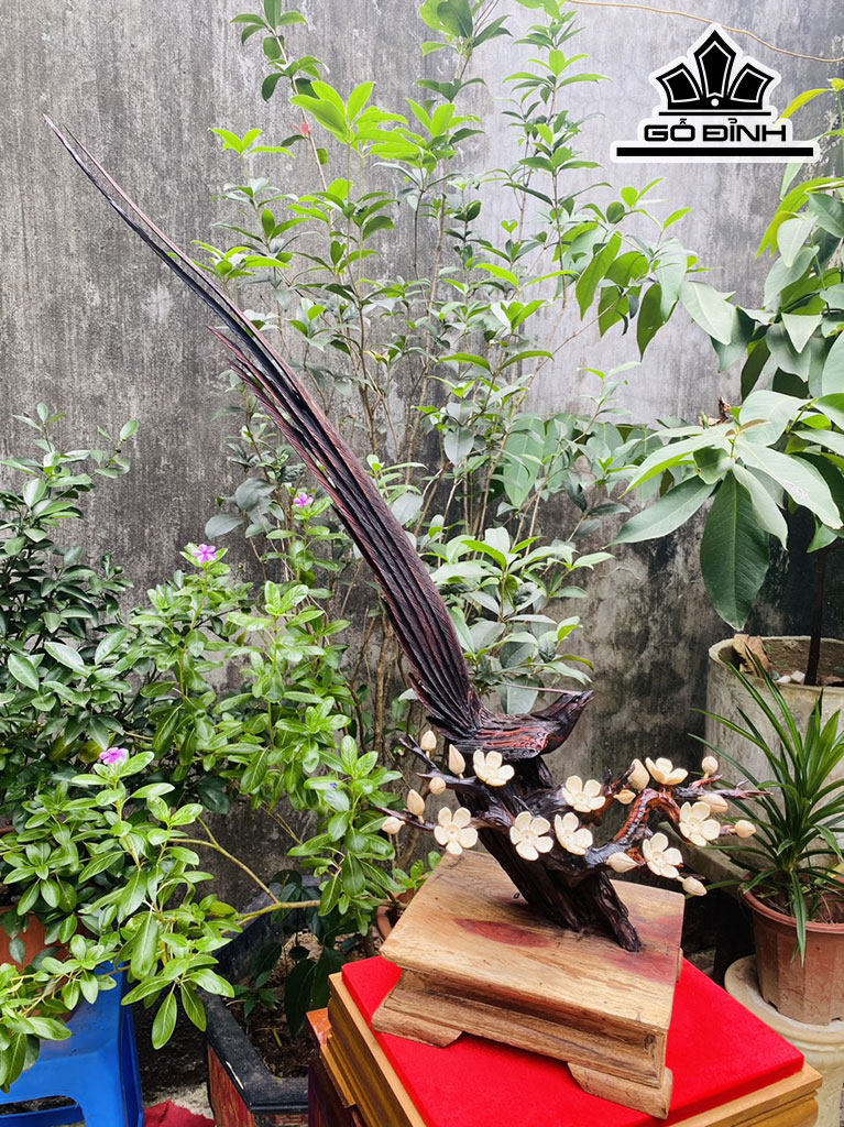 Tượng Chim Gỗ Trắc Cao 76 Ngang 70 Sâu 25 (cm)