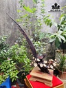 Tượng Chim Gỗ Trắc Cao 76 Ngang 70 Sâu 25 (cm)