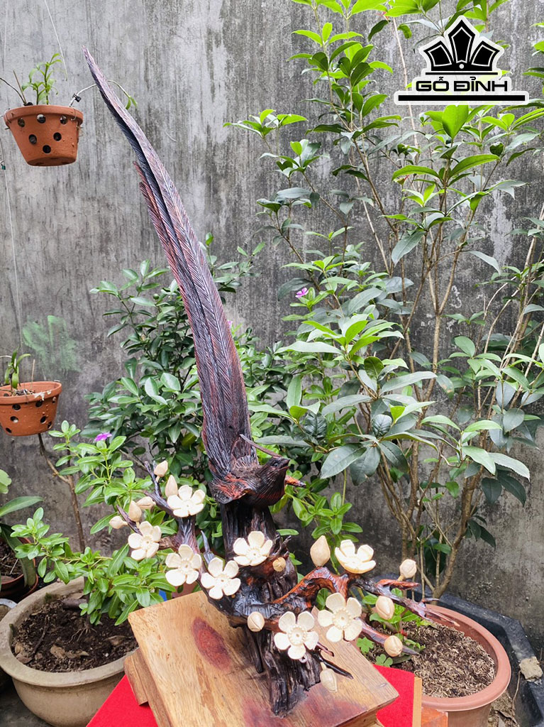 Tượng Chim Gỗ Trắc Cao 76 Ngang 70 Sâu 25 (cm)