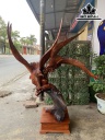 Song Điều Quần Hùng Cao 140 Ngang 115 Sâu 48 (cm)