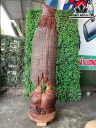 Tượng Tế Công Gỗ Hương Cao 113 Ngang 33 Sâu 30 (cm)