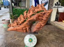 Tượng Bát Mã Gỗ Hương Cao 63 Ngang 95 Sâu 40 (cm)