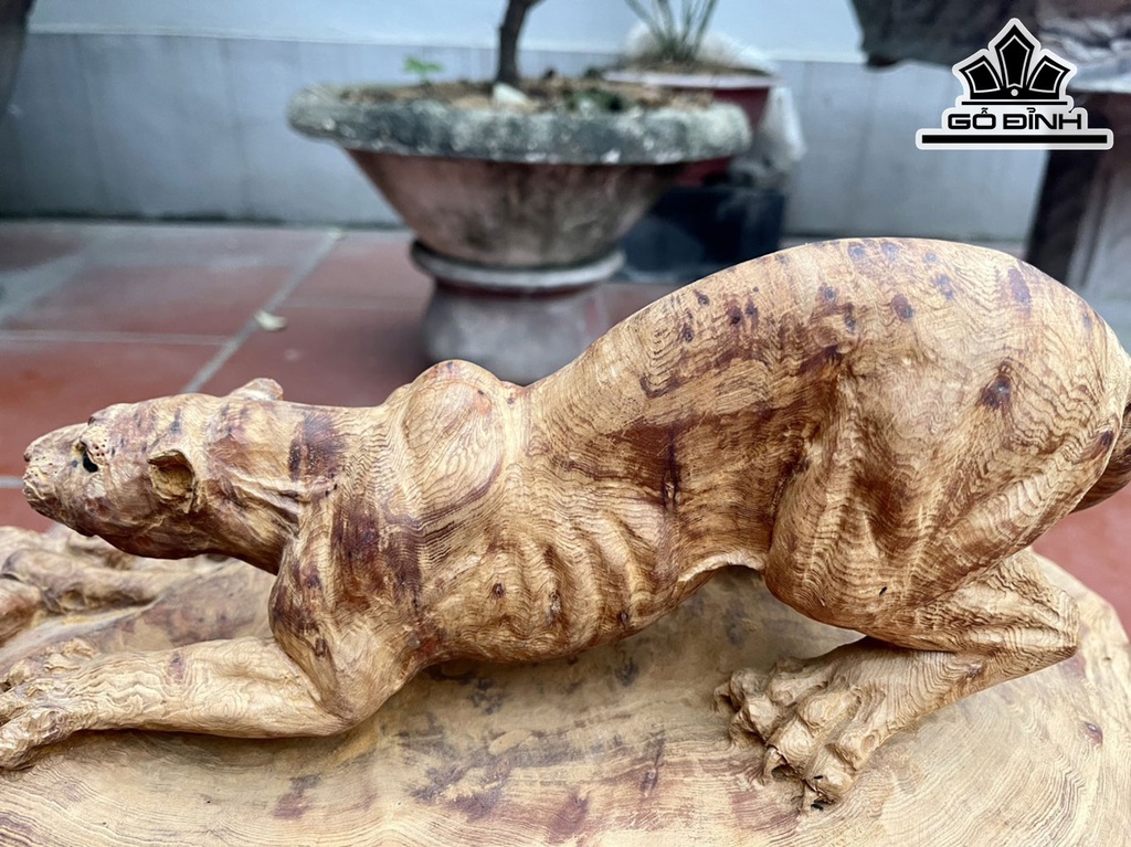 Tượng Báo Săn Mồi Gỗ Nu Ngọc Am Cao 17 Ngang 42 Sâu 25 (cm)