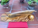 Tượng Cá Kim Long Gỗ Ngọc Am Cao 16 Ngang 72 Sâu 19 (cm)