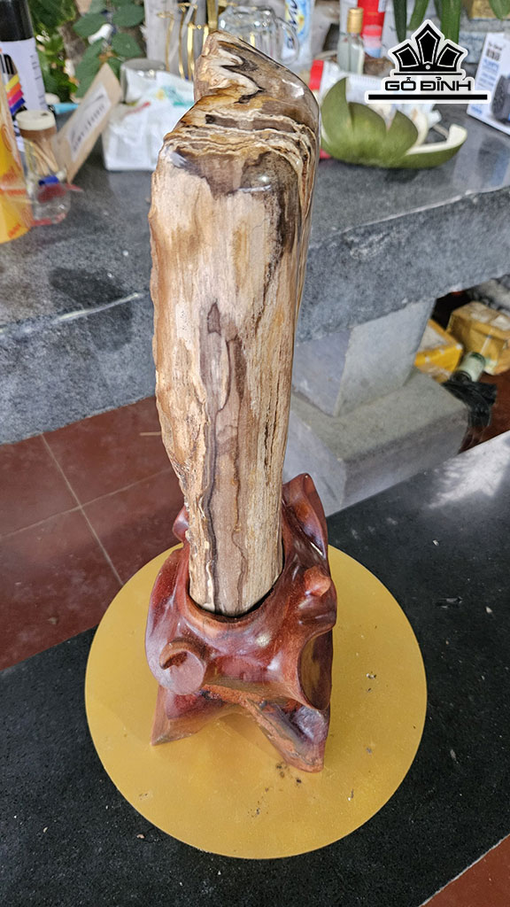 Tác Phẩm Gỗ Hóa Thạch Cao 45 Ngang 12 (cm) 6kg